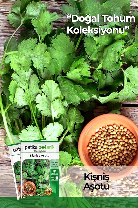 81TfzOPxn0L._AC_SY879_