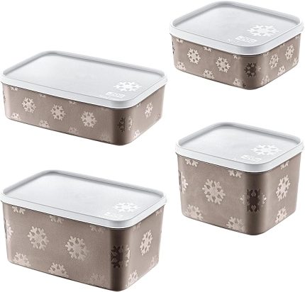 4'Lü Set No Frost Saklama Kabı Terra (tüm boylar)
