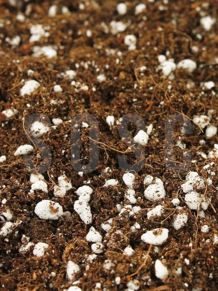 LIGHT MIX Ithal Sphangum Torfu Cocopeat Perlit Özel Karışım Saksı Harcı Çiçek Ve Bitki Toprağı 5 LT