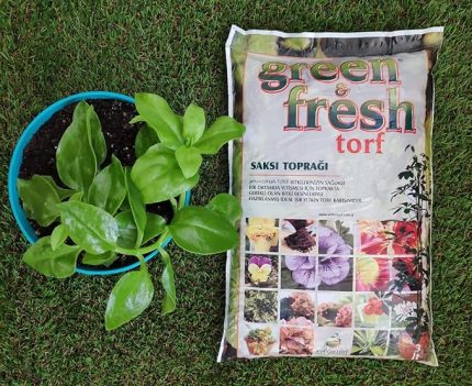 Fresh Torf 3 LT Çiçek Toprağı Saksı Toprağı Torf Toprağı