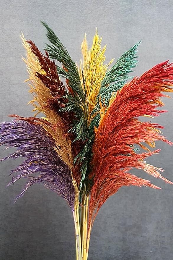Şoklanmış 15'li Pampas Otu Karışık Renk 100 Cm