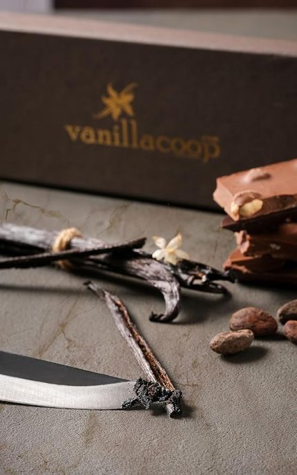 Organik Çubuk Vanilya Çubuğu (4 ADET)