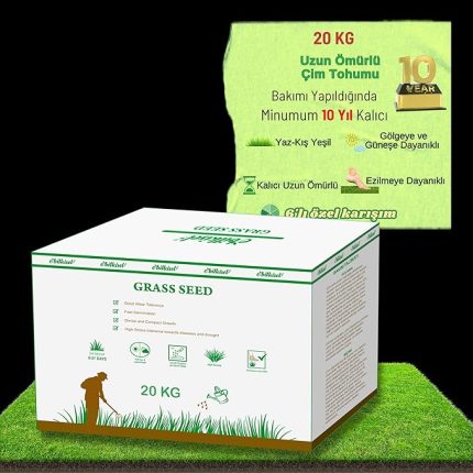 Çok Yıllık Çim Tohumu 20 Kg Uzun Ömürlü 6'lı Karışım Gölge ve Aşırı Güneşli Alan Uygun Yetiştirilmesi Kolay 4 Mevsim Yeşil
