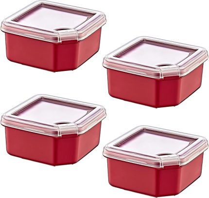 4'Lü Q-Box Saklama Kabı Carmen 350 ML