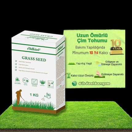 Çok Yıllık Çim Tohumu 1 Kg Uzun Ömürlü 6'lı Karışım Gölge ve Aşırı Güneşli Alan Uygun Yetiştirilmesi Kolay 4 Mevsim Yeşil