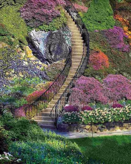 83,8 – 3.804,9 cm bahçe Stairway Puzzle (500 adet)