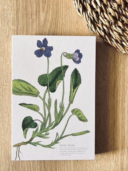 Tanıtım Özel Tasarım Kapaklı A5 Çizgisiz Not Defteri - 180 Derece Açılabilir, Sırtı Dikişli,%100 El İşçiliği, Ofis İçin İdeal, Planlayıcı (Viola Hirta Kapak Tasarımı)