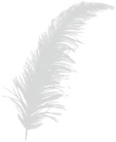 Marifetlerim - Doğal Beyaz tüy 100 Adet