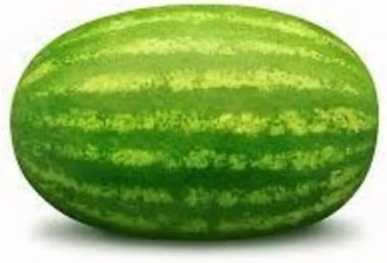 KARPUZ (ÇOKLU TOHUM) - 5 Gram