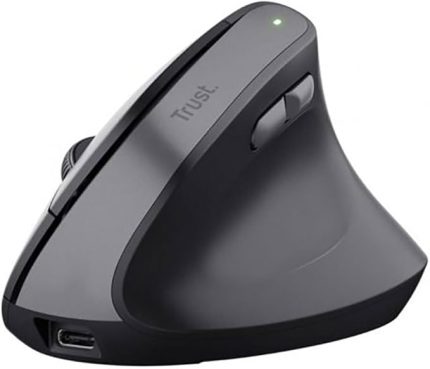 TM270 Ergonomik Kablosuz Mouse-Syh