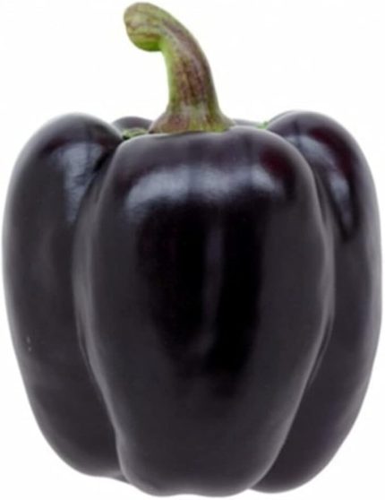 Nadir Mor Dolmalık Biber Tohumu 10 Adet Tohum