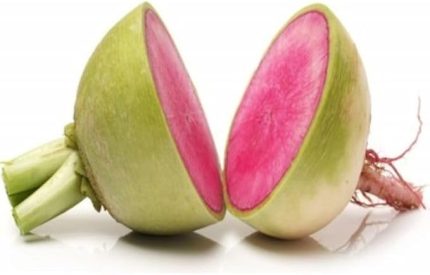 KIRMIZI BEYAZ (ÇOKLU TOHUM) - 5 Gram