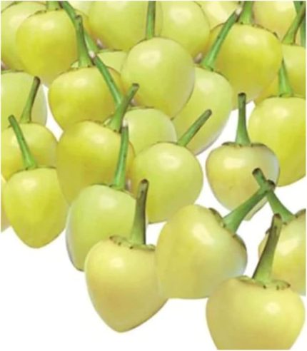 Turşuluk Fındık Biber Tohumu 50 Adet Tohum Biberiye