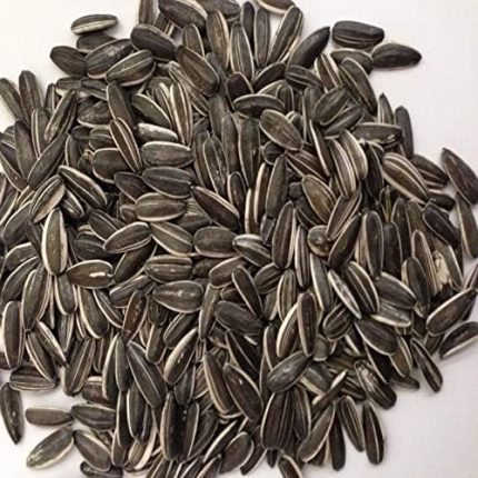 Siyah Çerezlik Çitlemelik Ayçiçeği Çekirdek Tohumu (1 KG)