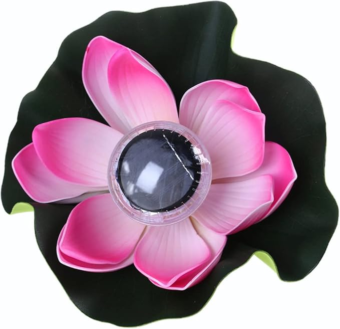 51ErgLU55NL._AC_SX679_