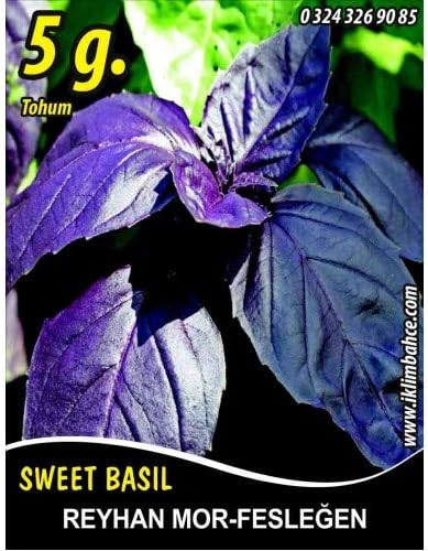 Tohumu Fesleğen Mor Renk - 5g (~ Takribi 1750 Tohum)