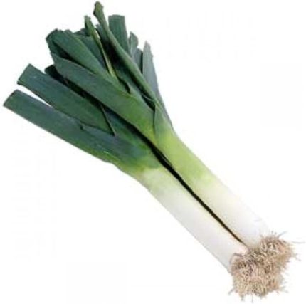 İnegöl Pırasa Tohumu 100 Adet Tohum