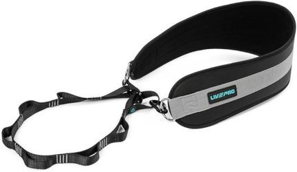 LP8098 Dip Belt Kemeri