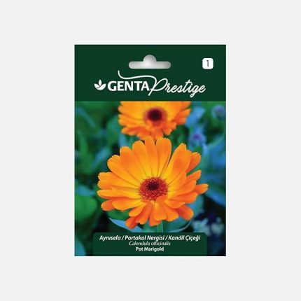 Prestige Aynısefa/Portakal Nergisi/Kandil çiçeği Tohumu