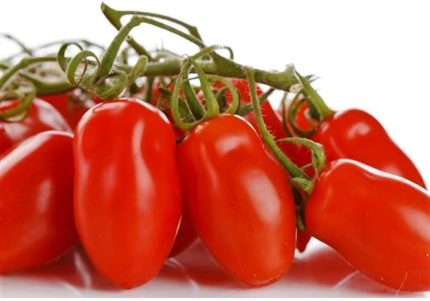 Adet Patio San Marzano Domates Tohumu