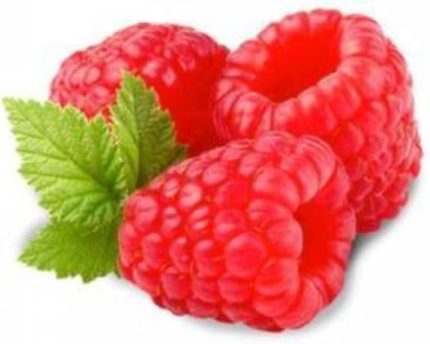 ADET BÖĞÜRTLEN TOHUMU