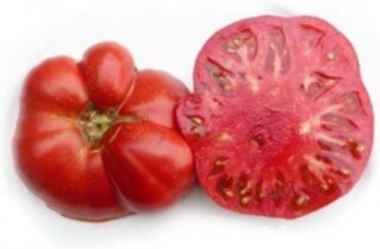 Dünyam Süper Paket 400 Adet Tohum Geleneksel Ankara Ayaş Domatesi Tohumu Domates Tohumu