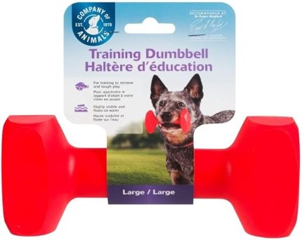 of Animals Training Dumbbell