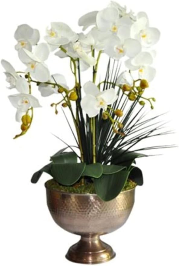 51eF-UONTL._AC_SY879_