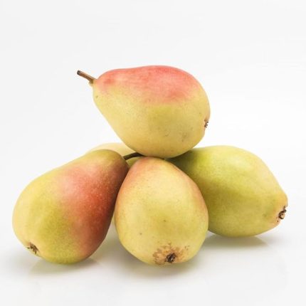 Sepetim 3 Yaş Aşılı Santa Maria Armut Fidanı