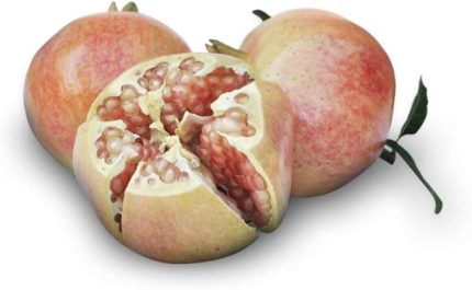 Tatlı Devedişi Nar Fidanı