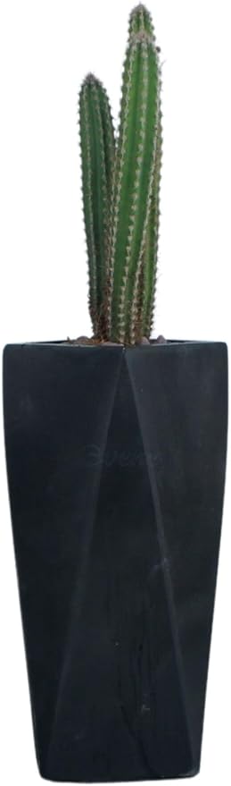 Çiçek Saksısı Uzun Beton Saksı Model 1, SİYAH