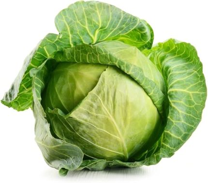 Garden Doğal Beyaz Lahana (Yalova Tipi) 100 Ad. Tohum