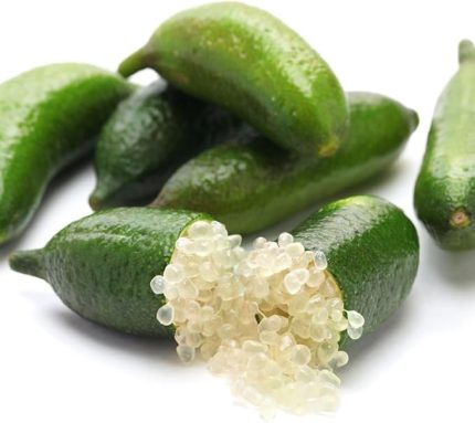 Aşılı Mikro-Narenciye Finger Lime Fidanı-Meyve Verme Durumunda