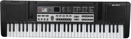 61 Anahtar Elektronik Klavye Piyano, Yeni Başlayanlar İçin Mikrofonlu Dijital Müzik Klavye Oyuncak