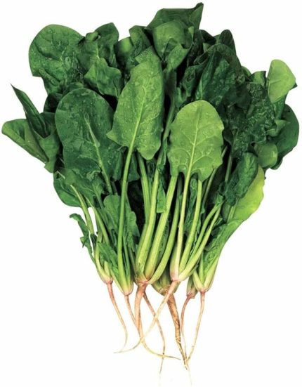 Garden Doğal Geniş Yaprak Ispanak Tohumu 100 Ad. Tohum