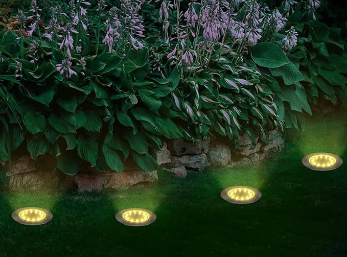 619XLwXelEL._AC_SX679_