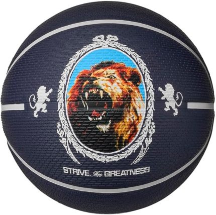 Playground 8P 2.0 LB Lebron James Basketbol topu Yetişkin Boyut 7