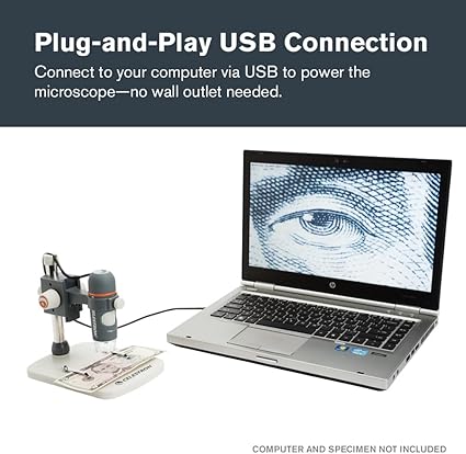 61AlOSHxgCL._AC_SX425_