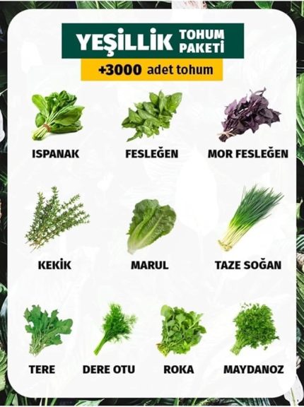 Çeşit Yeşillik Tohum Paketi 3000 Tohum