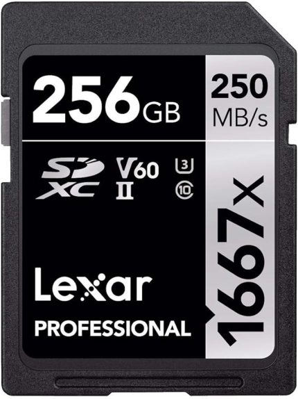 Professıonal 256 Gb 1667X Sdxc Hafıza Kartı (250Mb/S-90Mb/S)
