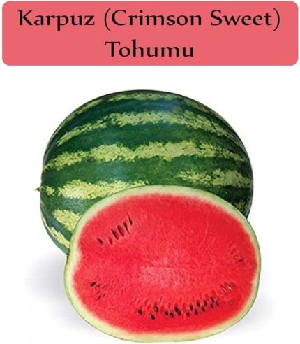 Organik Karpuz Tohumu 1 Paket (10Gr=100+ Adet) Crimson Sweet Karpuz Tohumu