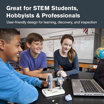 61N5kt-Y7XL._AC_SX425_