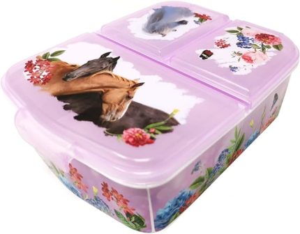 Çocuk beslenme kutusu, sandviç kutusu, bölmeli beslenme kutusu, bölmeli ekmek kutusu, anaokulu, plastik, BPA içermez (at atları)