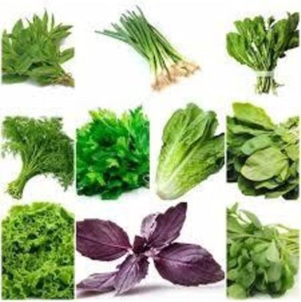 Adet Muhteşem Yeşillik Tohumu Paketi-10 Farklı Çeşit