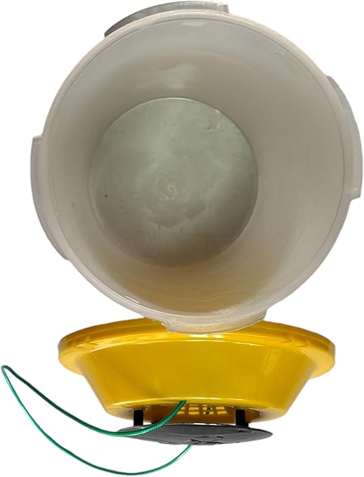 61Ve7cryLGL._AC_SY679_