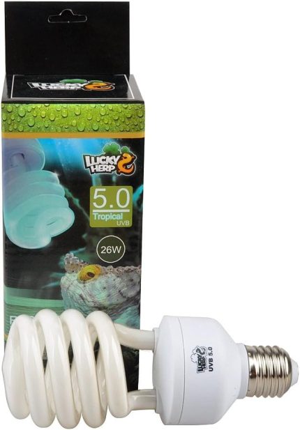 Kompakt Floresan UVA UVB 5.0 Ampul, 13W, 26W Mevcut (26 Watt)