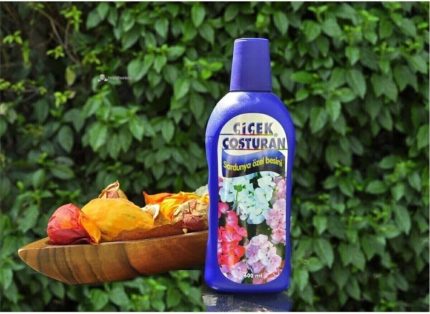 Coşturan Sardunya Özel Besini 600 Ml