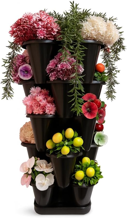 61q76ZrWjAL._AC_SX679_