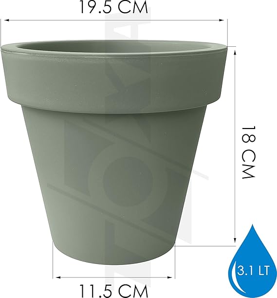 61rm2C5P46L._AC_SX569_
