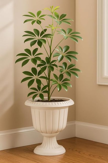 Ayaklı Deliksiz Plastik Nergis Saksı (1 Adet, 6 Litre, 30cm, Kirli Beyaz)